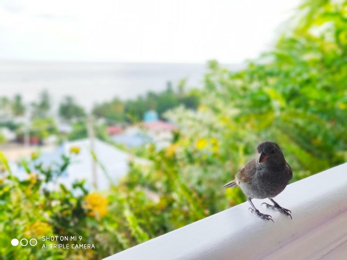 Hotel Le Manguier Morne Pavillon Kültér fotó